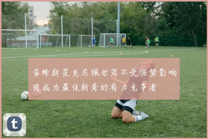 黄蜂新星克尼佩尔若不受伤势影响将成为最佳新秀的有力竞争者
