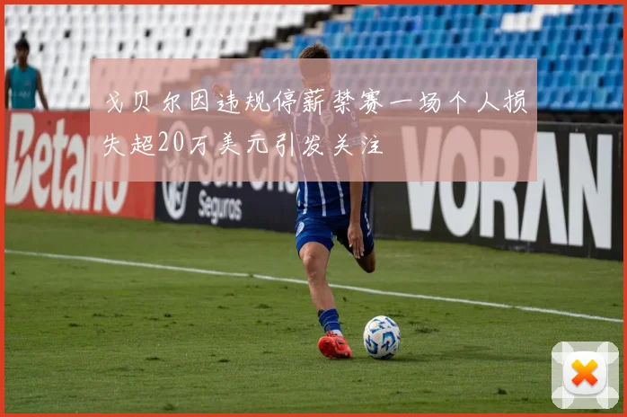 戈贝尔因违规停薪禁赛一场个人损失超20万美元引发关注