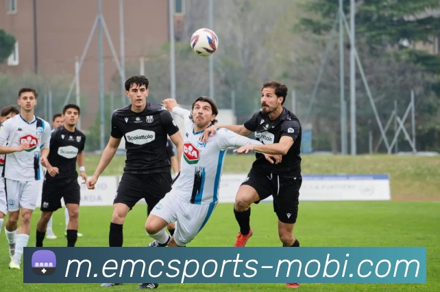 易倍体育服务体系